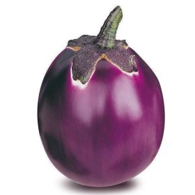 MELANZANA VIOLA FRESCA